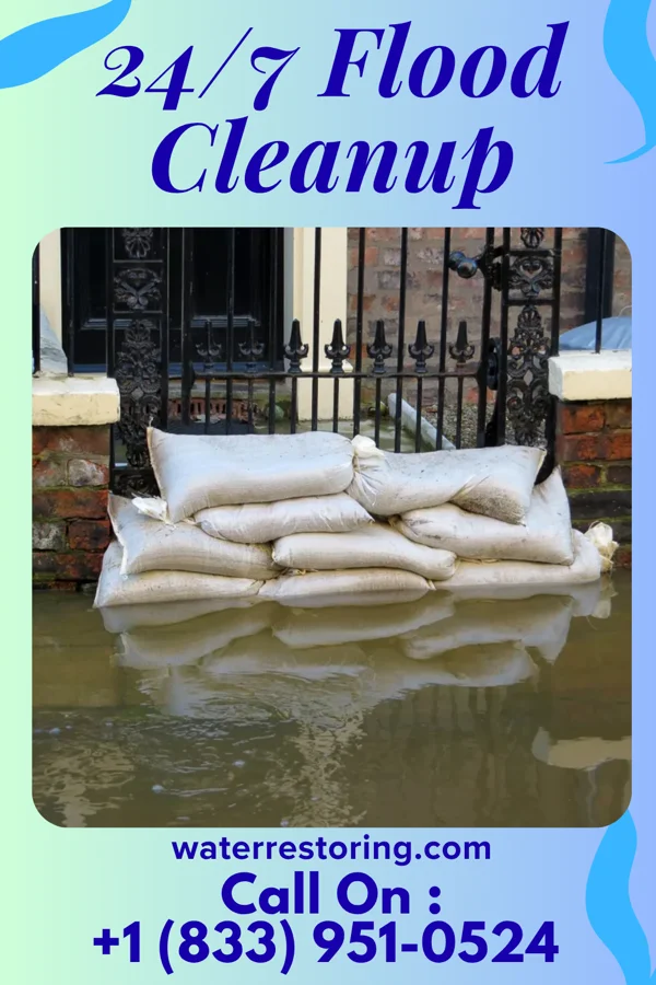24/7 Flood Cleanup in Southern View, IL