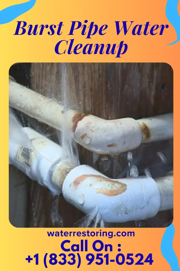 Burst Pipe Water Cleanup in Southern View, IL
