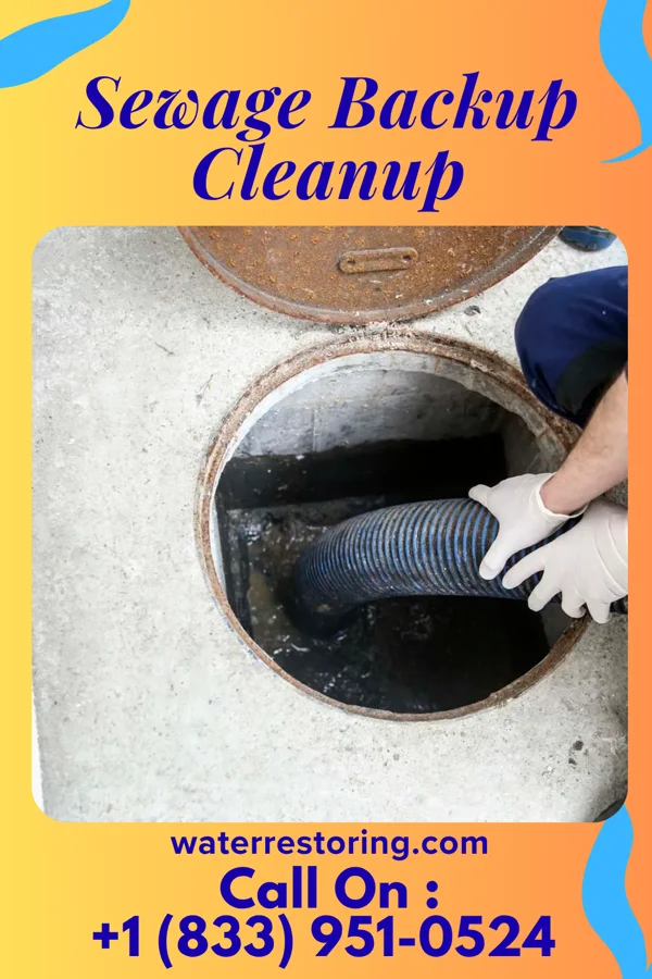 Sewage Backup Cleanup in Southern View, IL